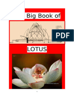 Big Book Lotus