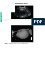 Clinical Canine and Feline Reproduction, Evidence-Based Answers (Vetbooks - Ir) - Pages-43-51