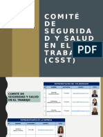 Capacitación Del CSST