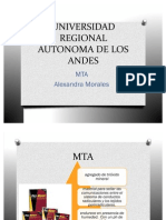 Mta Expo