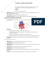 IGCSE Biology Circulatory System Notes