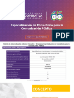 Informe Modelo Autoevaluacioìn Informe Ejecutivo CIRAA - Programa Especializacioìn