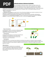 Ficha de Trabajo Tropismo