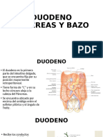 Anatomía de Duodeno, Pancreas y Bazo