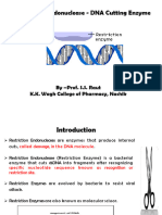 TY - Biotech - Restriction Endonucease