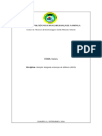 Fernada - Malária No Processo de Gravidez