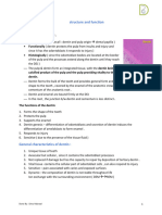 Dentin Histology