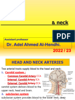 H&N Arteries 23