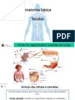 Tecidos Geral e Tegumentar Pele