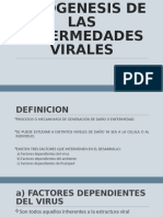 6 Patogenesis de Las Enfermedades Virales