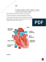 Documento Apoio Sistema Endócrino e Fisiologia Renal