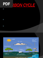 LEC-21 Carbon Cycle