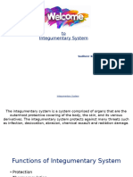 Integumentary System