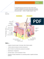 Lecture Note Integumentary System