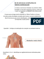 Atividade 1 A1 - Morfologia