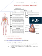 Chapter 2 Blood Circulation Doc2