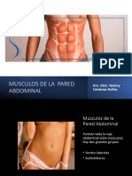 Musculos de La Pared Abdominal