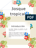 Bosque Tropical