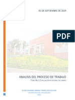 Foro 1 - Análisis Del Proceso 2024-Ii