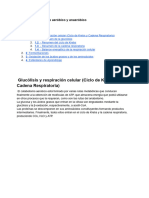 Tema 12 - Catabolismo Aeróbico y Anaeróbico