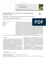 Technical, Efficiencyu of Lentil Paper