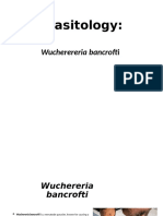 Wuchereria Bancrofti