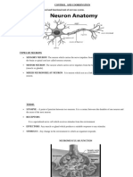 CONTROL AND COORDINATION Notes 1