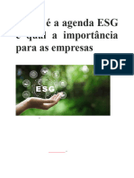 O Que É A Agenda ESG e Qual A Importância para As Empresas