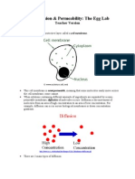 Cell Diffusion & Permeability - Teacher Version