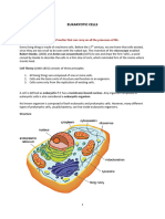 Eukaryotic Cells 2