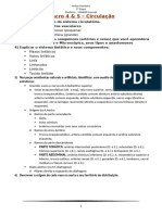 MACRO 4 & 5 - Circulação