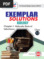 Class XII Biology Notes Chapter 5 Molecular Basis of Inheritance