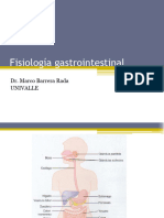 Fisiología Gastrointestinal