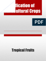 Identification of Horticultural Crops