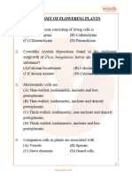 NEET Important Questions For Biology - Anatomy of Flowering Plants Free PDF