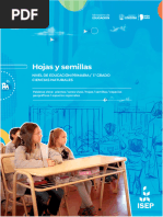 Primaria Naturales Hojasysemillas