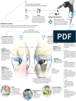 Lesiones de Ligamentos y Tendón en La Rodilla