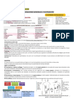 Resumo Clinica Quirurgica - p1