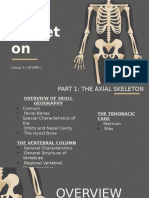 The Skeleton