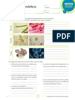 NCPP 7 Col Pruebadiagnostica