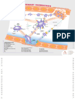 Primary - Haemostasis - 16 05 13 DEF