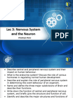 Lec 3 - Nervous System and Neuron