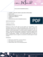 Informe Alejandro Nope PDF