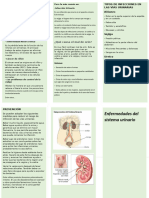 Triptico de Las Enfermedades Del Sistema Urinario