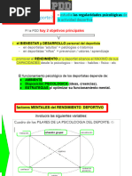 Clau RESUMEN P FINAL - Ck-Psy Deport