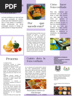 Folleto Aceites Esenciales Minimalista Morado