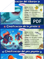 Clasificación Peces