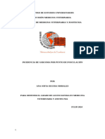 Proyecto de Investigación. Incidencia de Sarcoma Por Punto de Inoculación