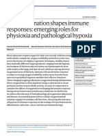 NATURE - How Oxygenation Shapes Immune Responses - Emerging Roles For Physioxia and Pathological Hypoxia (Mirchandani Et Al., 2024)