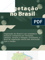 Vegetação Do Brasil - Renan PDF